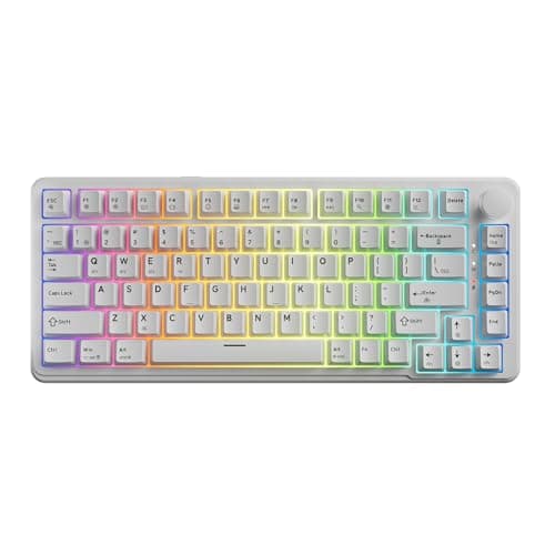 TECWARE Ghost 75% Wireless Mechanical Keyboard | RGB Gaming Keyboard with Volume Knob | Tri-Mode 2.4GHz/Bluetooth/USB-C | Gasket Mounted | Hot Swappable Pre-Lubed Linear Switches | 4000mAh | White